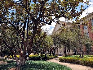 Kunming - Universite du Yunnan (50)